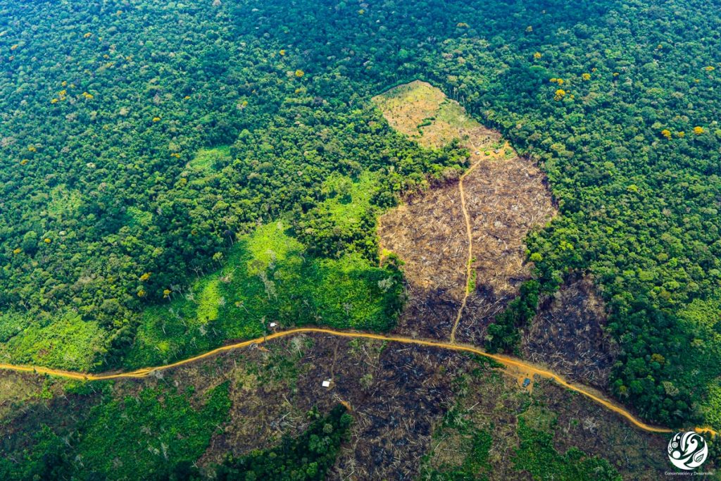 En el marco de la COP 16, ministerios de ambiente y agricultura son definitivos en protección de biodiversidad